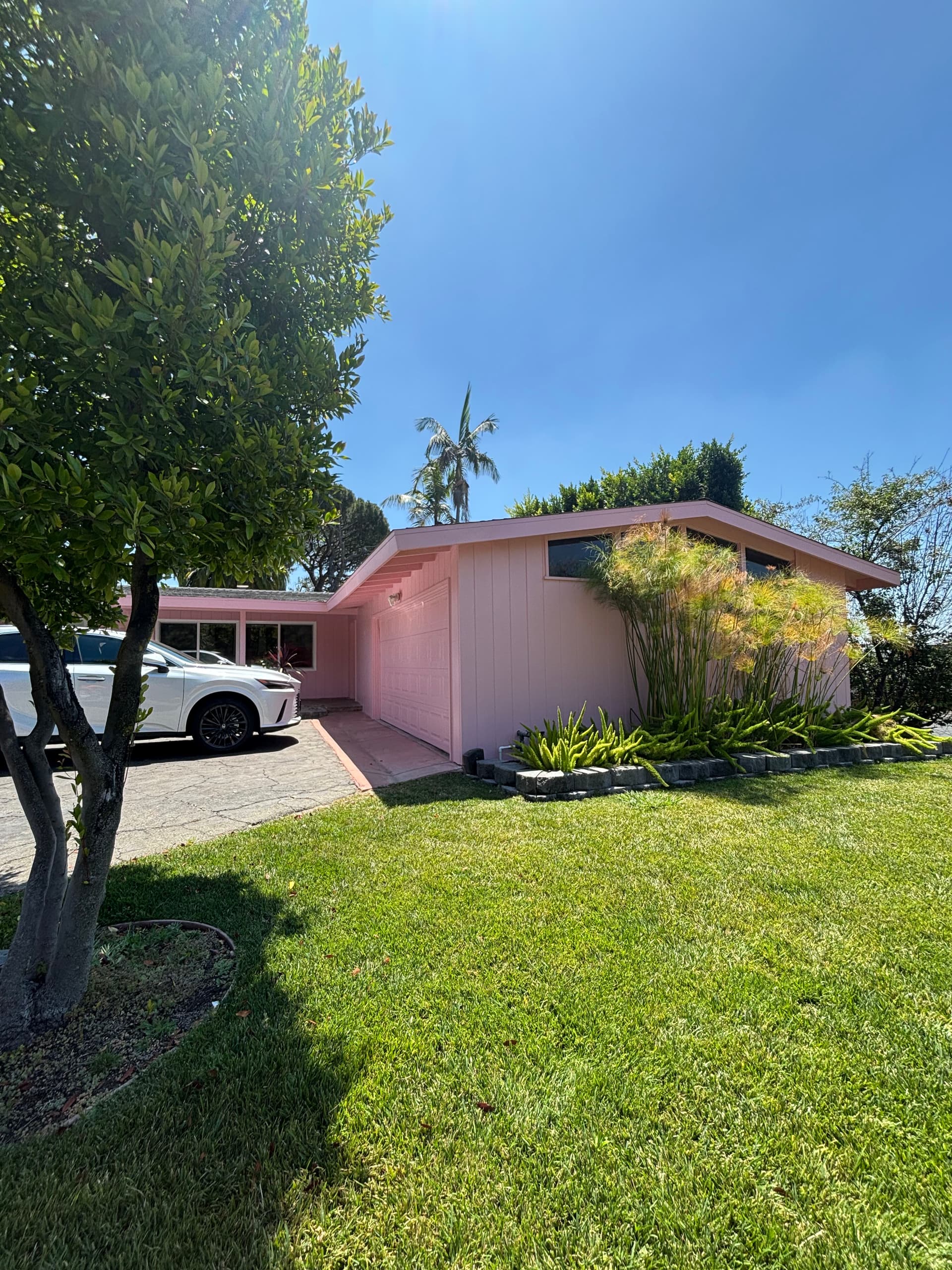 Gallery photos for Pink Exterior Paint Done Right on This Mid-Century Home: Image #2